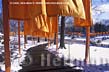 Photograph looking North from Bethesda Terrace at The Gates in Central Park, New York City, Christo and Jeanne-Claude, picture of The Gates, Central Park, New York copyright Carl Heilman II