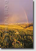 Montana pictures and fine art prints - Montana nature photography prints