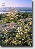 Old Forge area pictures and framed fine art photos and prints